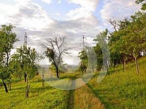 The path overgrown with grass leads through the trees and disappears in a bend