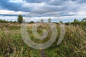 Path overgrown with high dry grass and cloudy sky