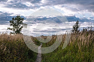Path overgrown with high dry grass and cloudy sky