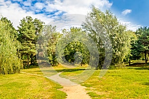 Path in Park