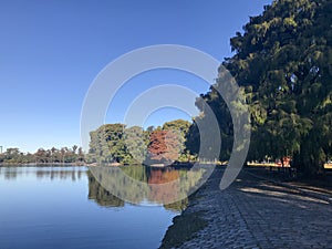 Path in the park, around the lake.