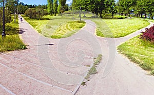 The path in the park is divided into three alleys going in different directions. Conceptual summer landscape