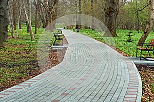 Path, park, grass, walk, beautiful, lawn, landscape, road