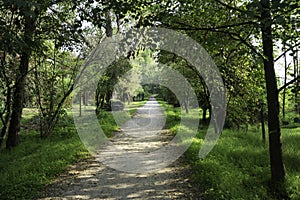 Path in the park of Lambro valley, Brianza, Italy