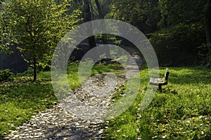 Path in the park of Lambro valley, Brianza, Italy