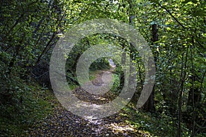 Path in the park of Lambro valley, Brianza, Italy