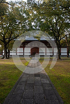 A path in a park leading to a building in Toji Temple area in Kyoto in Japan in early spring