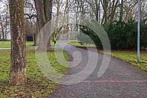 The path in the park is lined with trees