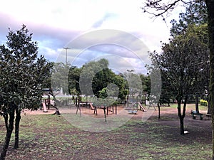 Path in the park, outdoor park, woods with paths, nature.