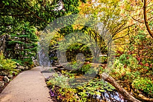 path in a park between a pond and a waterfall near a stone wall, surrounded by the trees