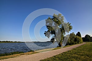 Path in a park by the shore of a lake in an italian town at sunset