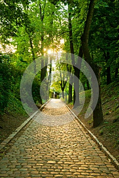 Path in park, Vysehrad, Prague,