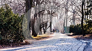 Path in aPark