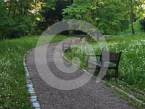 Path through the park and wooden benches