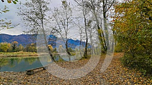 Path that passes through the forest, in autumn