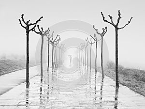 Path with person walking with umbrella on rainy day at winter