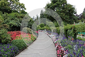 A path with petunias in the Butchart Garden