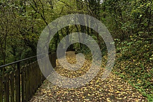 A path piled with fall autumn leaves leading to a cave.