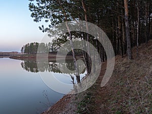 The path between pines at pond`s coast in the morning. The smooth water surface in the pond at sunrise