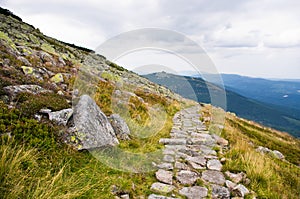 Path in Polish Karkonosze mountains, Poland