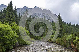 Path between Popradske Pleso and Strbske Pleso, Slovakia. High Tatras in cloudy foggy da