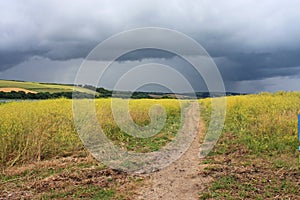 Path through a foeld