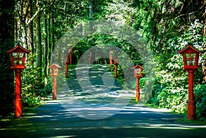 Path with red lanterns around Lake Ashi