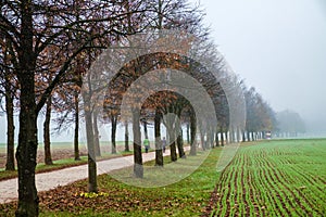 Path of Remembrance and Comradeship