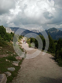 Path in Resciesa mountain