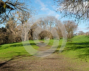 Path at the riparian preserve in Davis