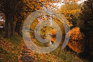 Path the river with autumn colors and yellow trees