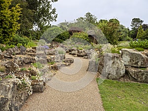 Path through a rock garden with plants and trees