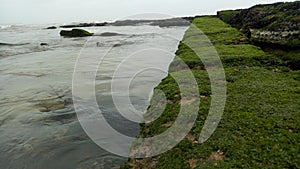 A path between the rocks covered with green moss due to the frequent tides