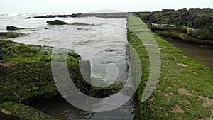 A path between the rocks covered with green moss due to the frequent tides