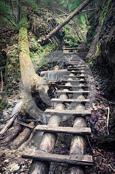 Path through rocky canyon