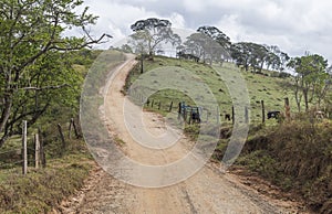 Path in the rural area, where the pilgrims walk along the Path of Faith, Brazil.