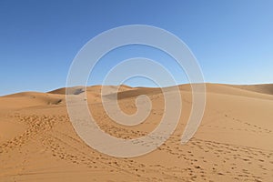 Path in sand desert dune