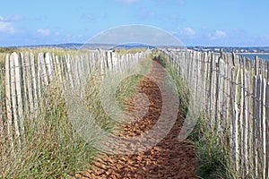 Path through sand dunes, Dawlish Warren