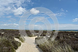 Path through sand dunes, Studland Nature Reserve