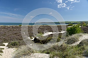 Path through sand dunes, Studland Nature Reserve