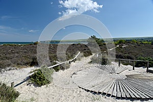 Path through sand dunes, Studland Nature Reserve