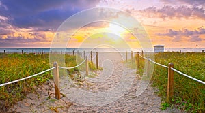 Path on the sand going to the ocean in Miami Beach