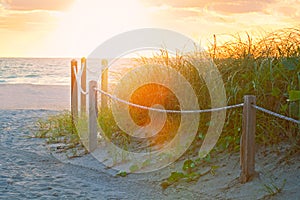 Path on the sand going to the ocean in Miami Beach