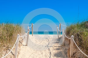 Path on the sand going to the ocean in Miami Beach