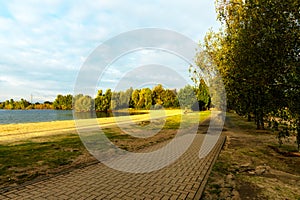 Path by Sandy Beach with Trees at the Lake