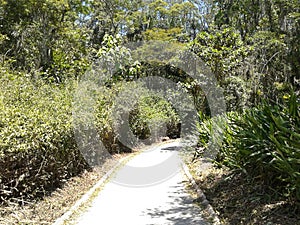 Path in Santa Luzia Park in Maua Sao Paulo Brazil. photo