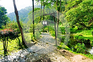 Path in Santa Rosa de Cabal photo