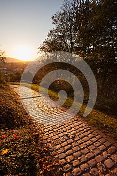 Path on schlossberg in freiburg