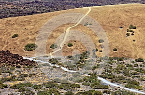 Path seen from viewpoint in Teide Park