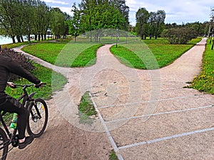 Path selection. The road in the park is divided into three different directions among grass, trees and flowers